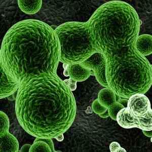 Low HDL-C levels may heighten risk of acromegaly