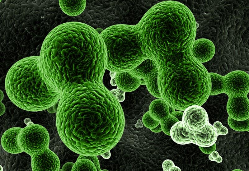 Individuals with low high-density lipoprotein cholesterol (HDL-C) levels face an increased risk of acromegaly, according to a