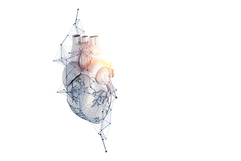 How does an AI-based angiography system fare in PCI?