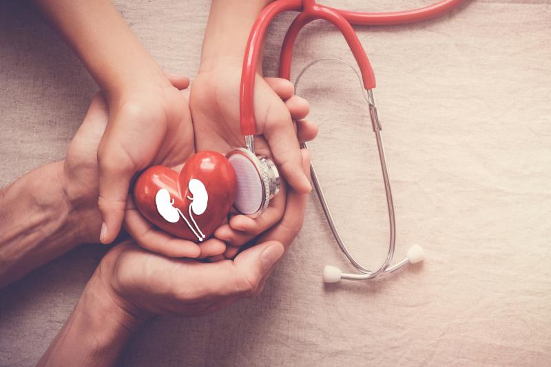 Monitor kidney function to reduce cardiovascular risk in CKD patients, says study