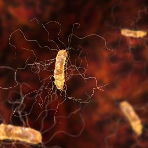 Clozapine use tied to increased infection risk in schizophrenia