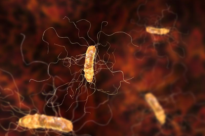 Clozapine use tied to increased infection risk in schizophrenia