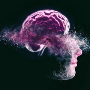 Oral blarcamesine delivers long-term benefit in early AD