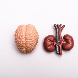 Lower eGFR tied to neurodegeneration