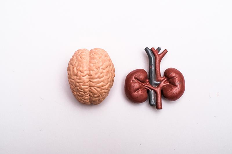Lower eGFR tied to neurodegeneration