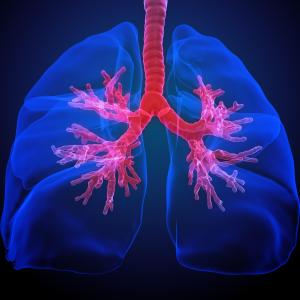 Hypertonic saline, carbocisteine miss mark in bronchiectasis
