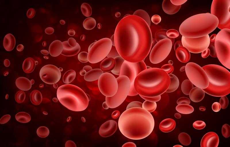 HAS-BLED outclasses DOAC, ORBIT scores in predicting bleeding in nonvalvular AF