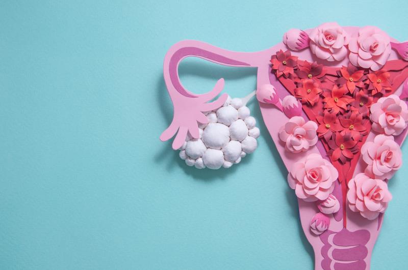 Oral, transdermal hormone therapies equally preserve bone health in premature ovarian insufficiency