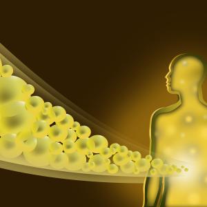 Bile acid accumulation predicts liver injury after portoenterostomy