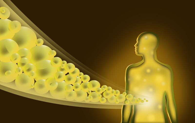 Serum bile acid accumulation predicts liver injury after portoenterostomy in biliary atresia