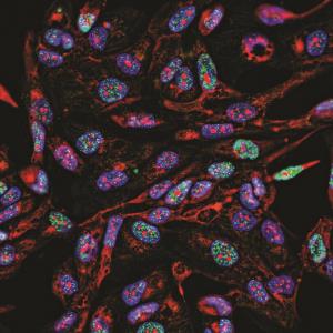 Cancer treatment personalization with biomarkers: What lies ahead?