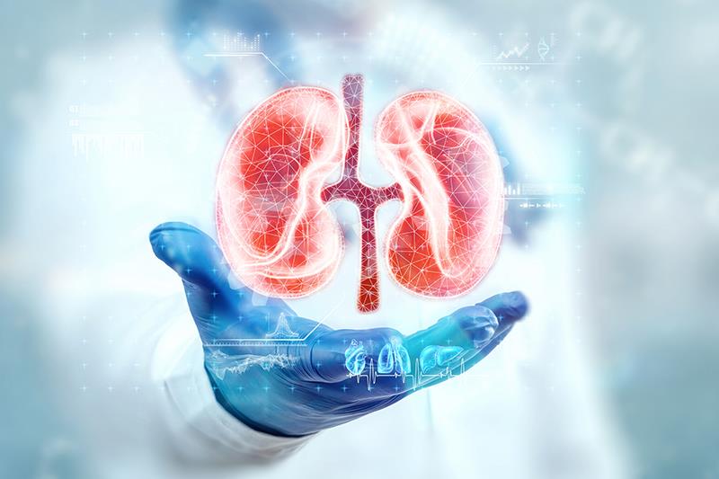 Cardiovascular–kidney–metabolic syndrome ups mortality, ESKD risks