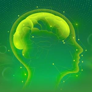 Carnosine: The Multi-Target Agent in Neuroprotection