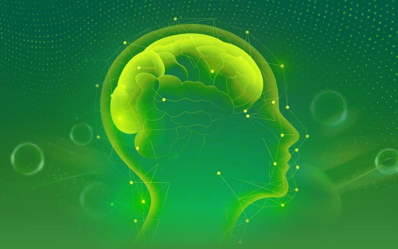 Carnosine: The Multi-Target Agent in Neuroprotection