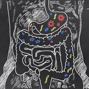 Diet may influence CHF linked to gut microbiota