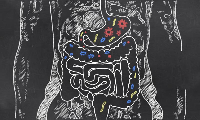 Diet may influence CHF linked to gut microbiota