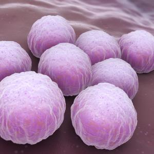 Preconception C. trachomatis seropositivity may up risk of miscarriage