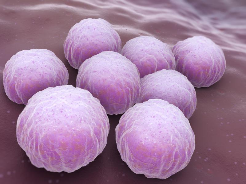 Preconception C. trachomatis seropositivity may up risk of miscarriage