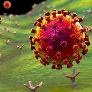 Cancer history does not factor in COVID-19, related outcomes among older women