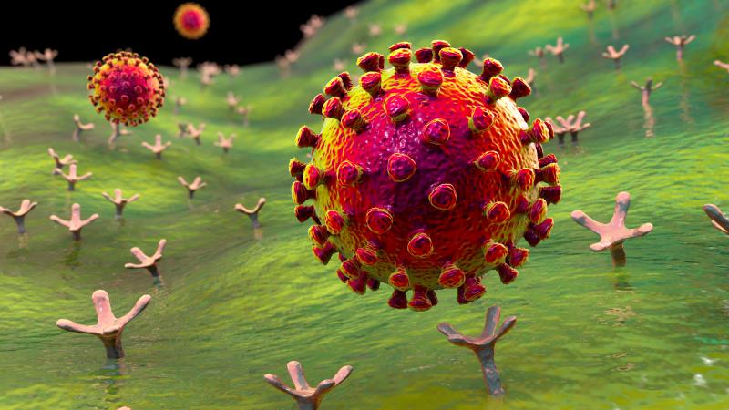 Cancer history does not factor in COVID-19, related outcomes among older women