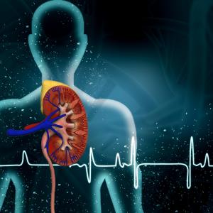 One functioning kidney insufficient to tell reduced renal reserve in boys with PUV