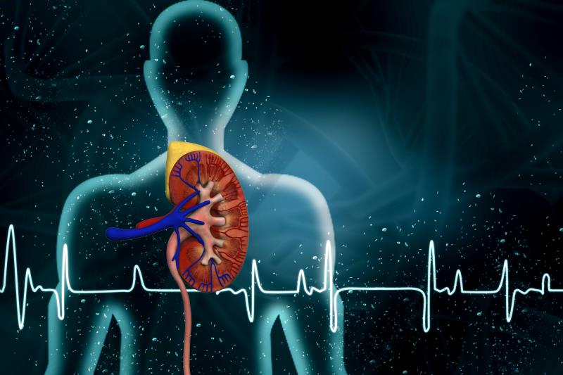 Having one functioning kidney insufficient to determine reduced renal reserve in boys with PUV