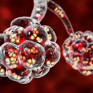 β-lactam/β-lactamase inhibitor combination noninferior to piperacillin/tazobactam for pneumonia