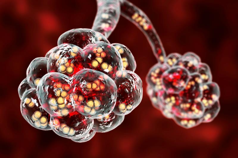 In the treatment of adults with hospital-associated (HABP) or ventilator-associated bacterial pneumonia (VABP), the &beta;-la