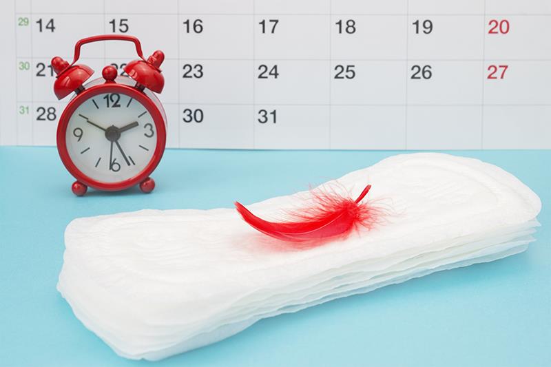 Diet influences menarche timing