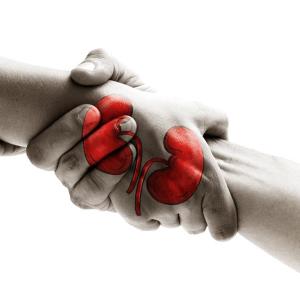 CONFIDENCE supports simultaneous MR, SGLT2 inhibition in CKD and T2D