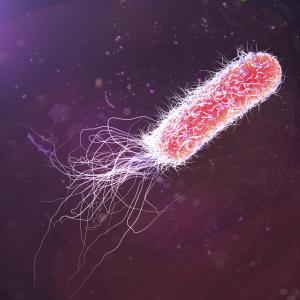 Bispecific antibody overcomes P. aeruginosa infection in patients with bronchiectasis