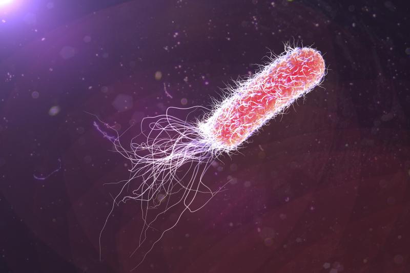 Bispecific antibody overcomes P. aeruginosa infection in patients with bronchiectasis