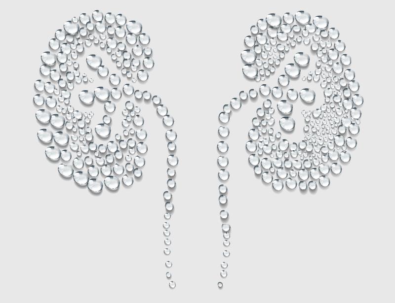 CKD tied to morbidity, mortality in patients with SLE