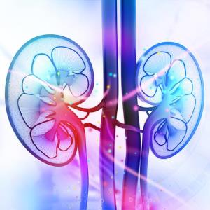 Add-on obinutuzumab yields robust treatment benefit in lupus nephritis