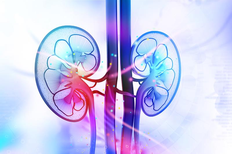 Add-on obinutuzumab yields robust treatment benefit in lupus nephritis