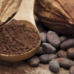 Long-term cocoa extract supplementation has null effect on hypertension risk in older adults