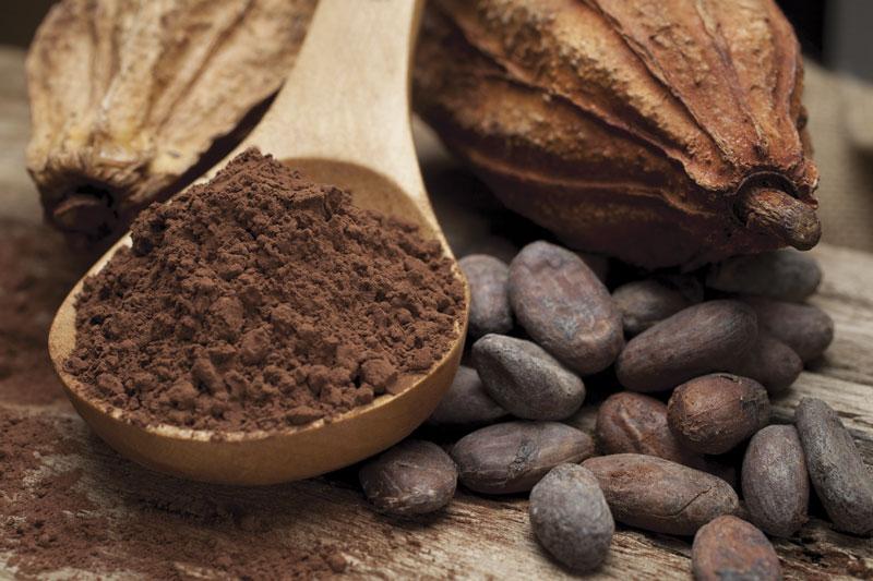 Long-term cocoa extract supplementation has null effect on hypertension risk in older adults