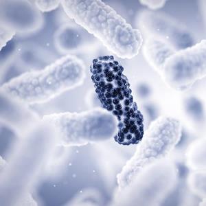 FMT bodes well for AMR