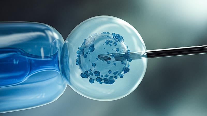 Follitropin delta as good as follitropin alfa for ovarian stimulation in IVF