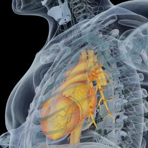 Risk of MACE higher with sulfonylureas vs DPP4is