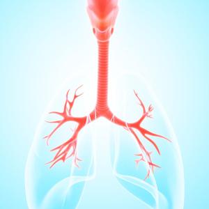 Fenestrated outdoes conventional silicone stents in benign central airway stenosis