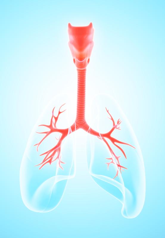 Fenestrated outdoes conventional silicone stents in benign central airway stenosis