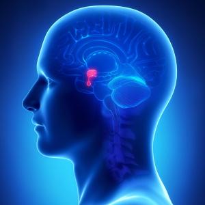 ICI therapy safe to use in aggressive pituitary neuroendocrine tumours