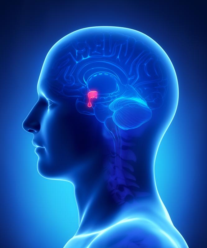 ICI therapy safe to use in aggressive pituitary neuroendocrine tumours