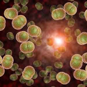 Oral bacteria, fungi linked to pancreatic cancer