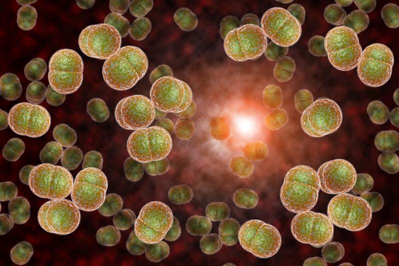Oral bacteria, fungi linked to pancreatic cancer