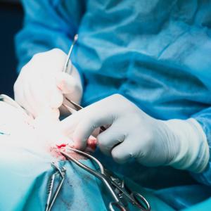Midline extraction incision predicts incisional hernia risk after nephrectomy