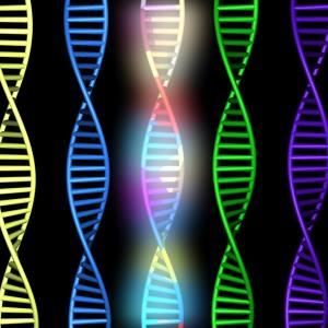 Inherited risk predicts increases in fibrosis in MASLD patients