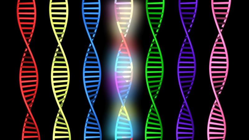 Inherited risk predicts increases in fibrosis in MASLD patients
