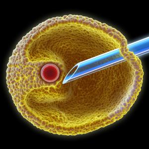 High E2 levels after IVF up risk of glucose metabolic dysfunction in children
